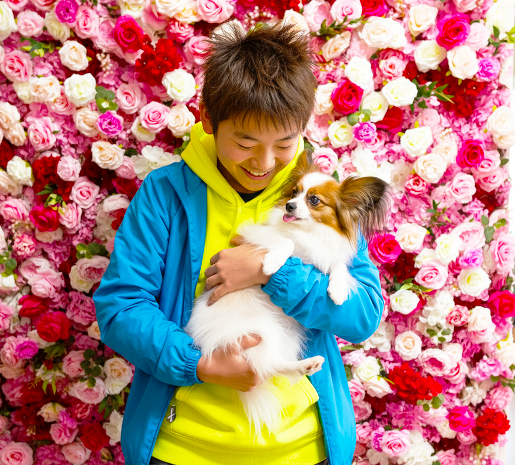 フラワーウォール ペット撮影 パピヨン 大阪