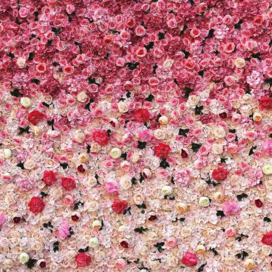 大阪・奈良 フラワーウォール レンタルサービス